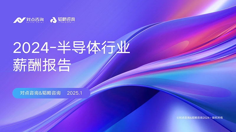 【对点×韬略】2024半导体行业-薪酬报告_1 拷贝.jpg