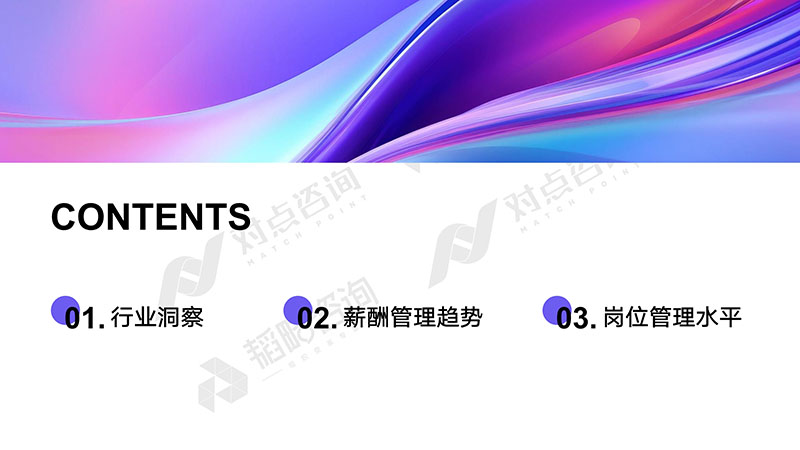 【对点×韬略】2024半导体行业-薪酬报告_4 拷贝副本.jpg